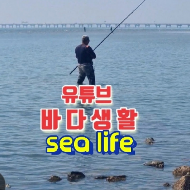 바다생활(sealife)