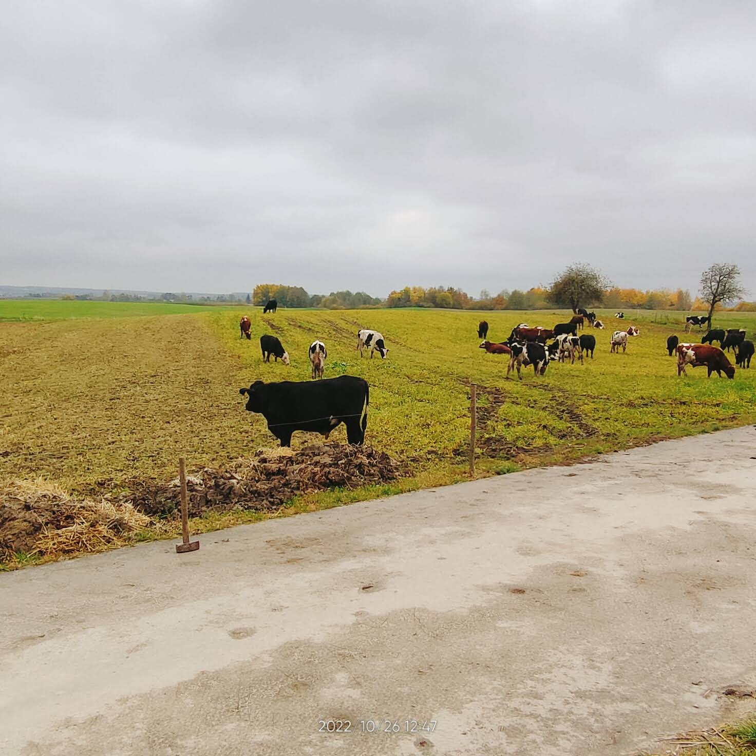 Post from FREE RIND