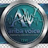 qnApnEttAHg-channel-avatar-Ariba Voice 15M