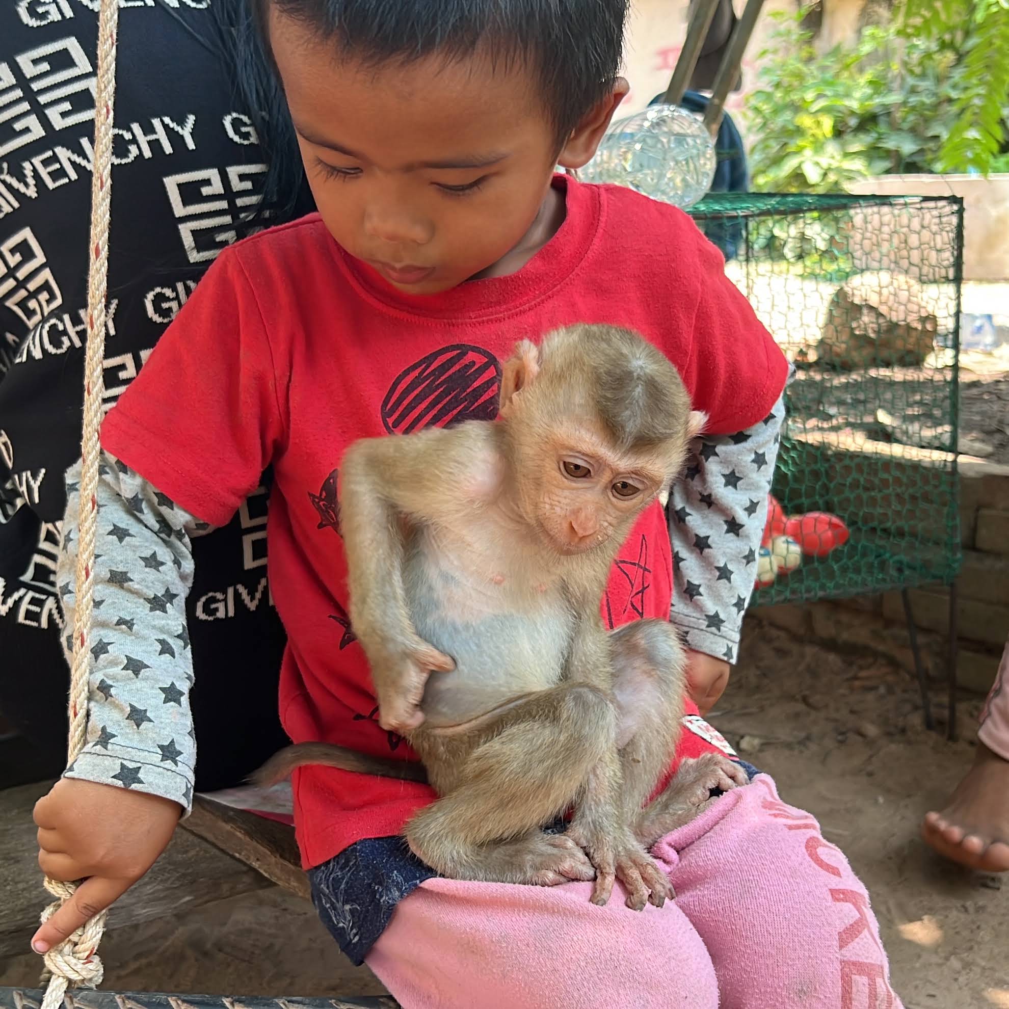 Post from Ze Lee Monkeys