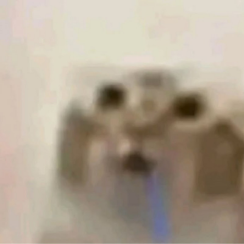 밈어캣 avatar