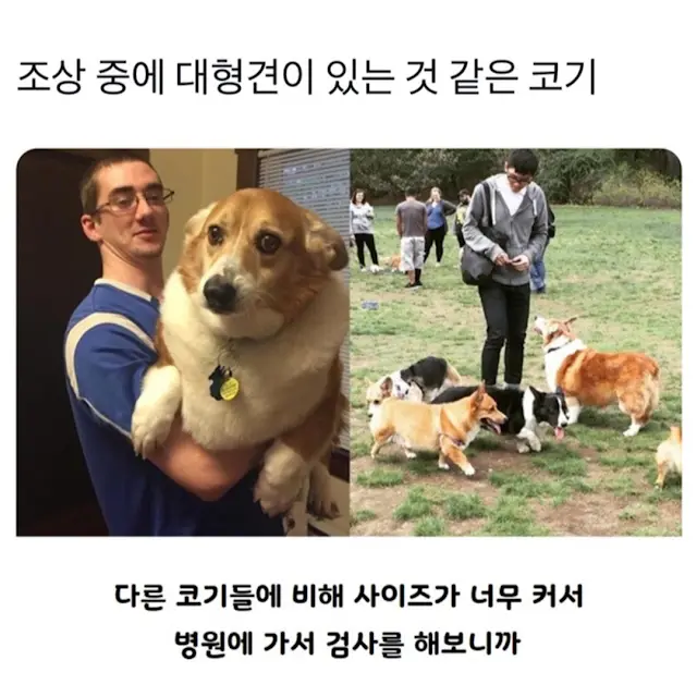 BlockNote image