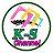 KS channel
