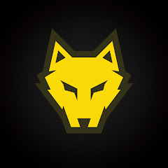 AngryAngelo net worth