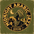 9kHTpLC-Hsw-channel-avatar-Midnight Arabic Jazz
