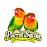 bGVbfAwPYDM-channel-avatar-PARROT SACHIN