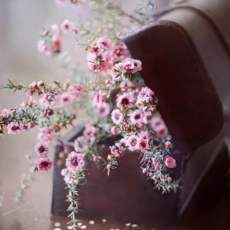 Hire hadees.islam.11 — Moral & Ethical Debates YouTube creator for sponsorships