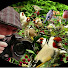 zrUs7rWqQy0-channel-avatar-H.H.Alexander164Spalbeek