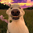 @Catalinu01's avatar