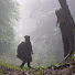 mW7zMsf6tNo-channel-avatar-wildbush