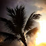 8Le2wXC-7bE-channel-avatar-Relaxation and Meditation Nation