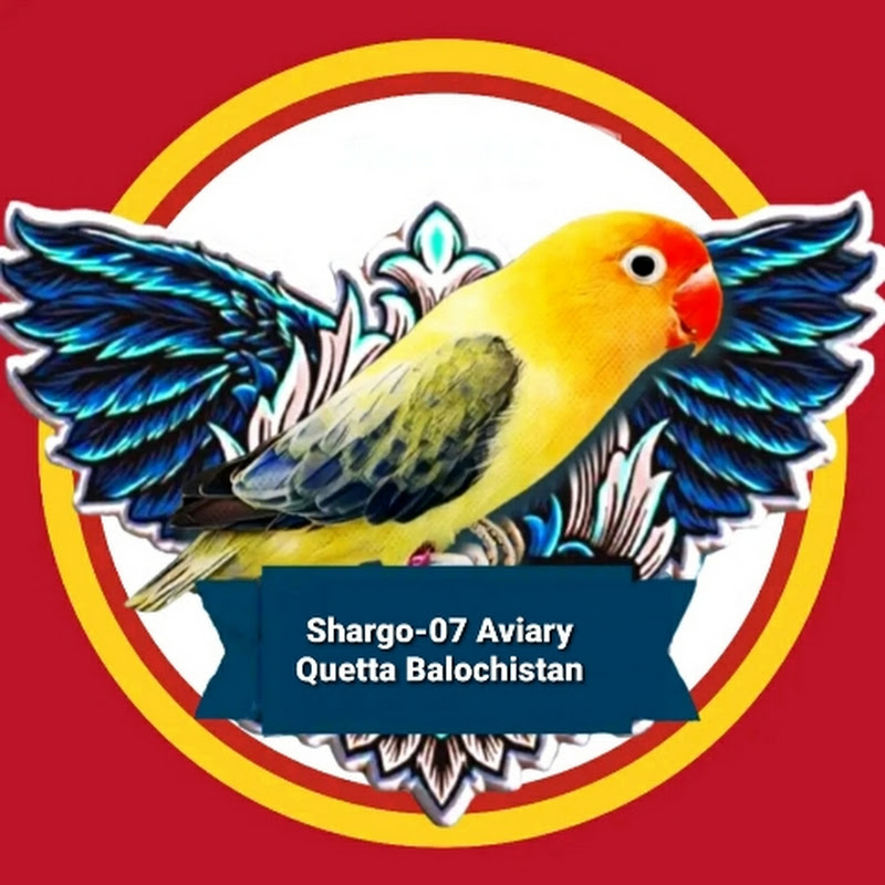 Shargo.07.Aviary.Quetta.OFFICIAL icon