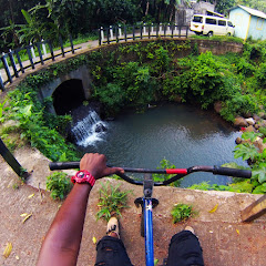 Dreadshots473 Avatar