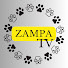 g-tEA7hBg3g-channel-avatar-Zampa TV