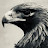 @eric_eagle's avatar