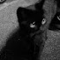 dfHjUB2XdpQ-channel-avatar-Li_iLiip