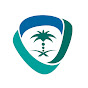 الملكية الفكرية SAIP I logo