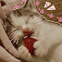egh9BVx5LKk-channel-avatar-Berryfly🍓