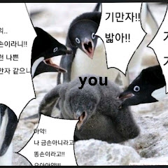 팔레트🎨