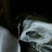 @danielash1704 Avatar