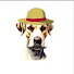 b6-lfNy831E-channel-avatar-FlaGames-