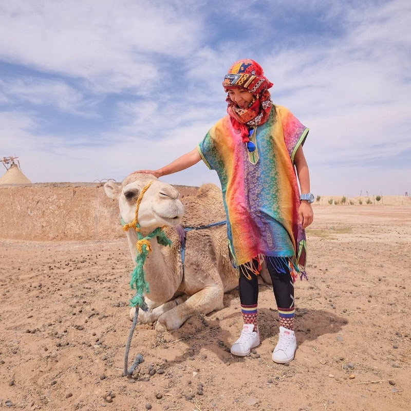 Tomo的快樂宇宙 Logo