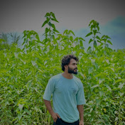 Ankit Pal
