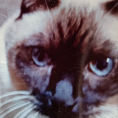 クラフトターボ