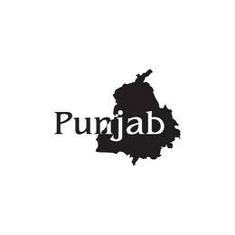 PUNJABI FACT ZONE