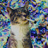 ORqBGBq6SCQ-channel-avatar-Kuulkitty08