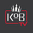 VeOUsowmHiU-channel-avatar-Kings of Bass TV