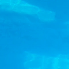 Fã clube da melzinha