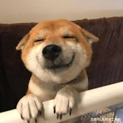 小君荒野记录