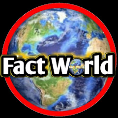 Fact World Avatar