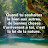 @Graciella-vh9eg