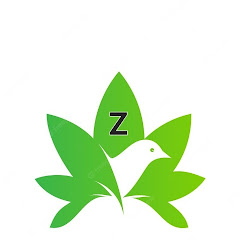 ZantiPyH channel logo