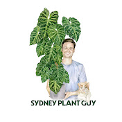 Sydney Plant Guy