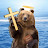 Biblical Bear