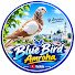RwJXQ_eHII8-channel-avatar-Blue Bird Amroha 