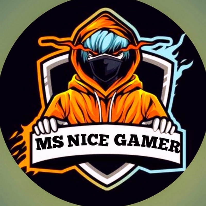 MS NICE GAMER