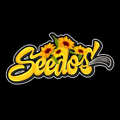 Seedos GmbH