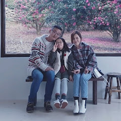제주도 전문 TV 제일하우스