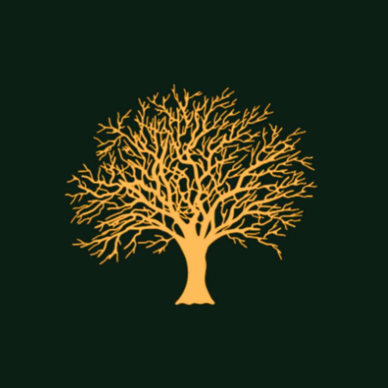 Scarce Assets E021: Michael Saylor – Pursuit of Bitcoin Yield