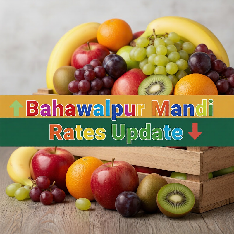 Bahawalpur Mandi Rates Update