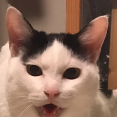 ぴろきん