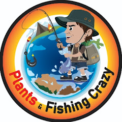 Логотип каналу  Plants & Fishing Crazy