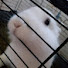 uCXDS_iEEVI-channel-avatar-PUFFER'S cute