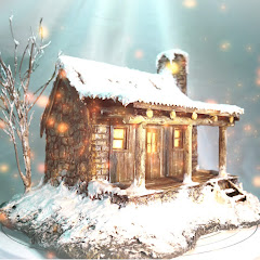 Miss Diorama net worth