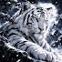 NbgcoRFHXcQ-channel-avatar-พาสทอรี่PASTORY