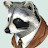 @averyraccoon7922